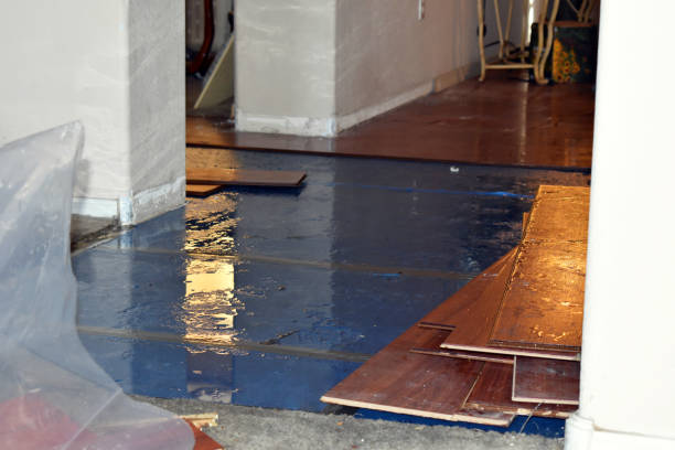 Professional Water Damage Restoration technician working in Bellevue, IA